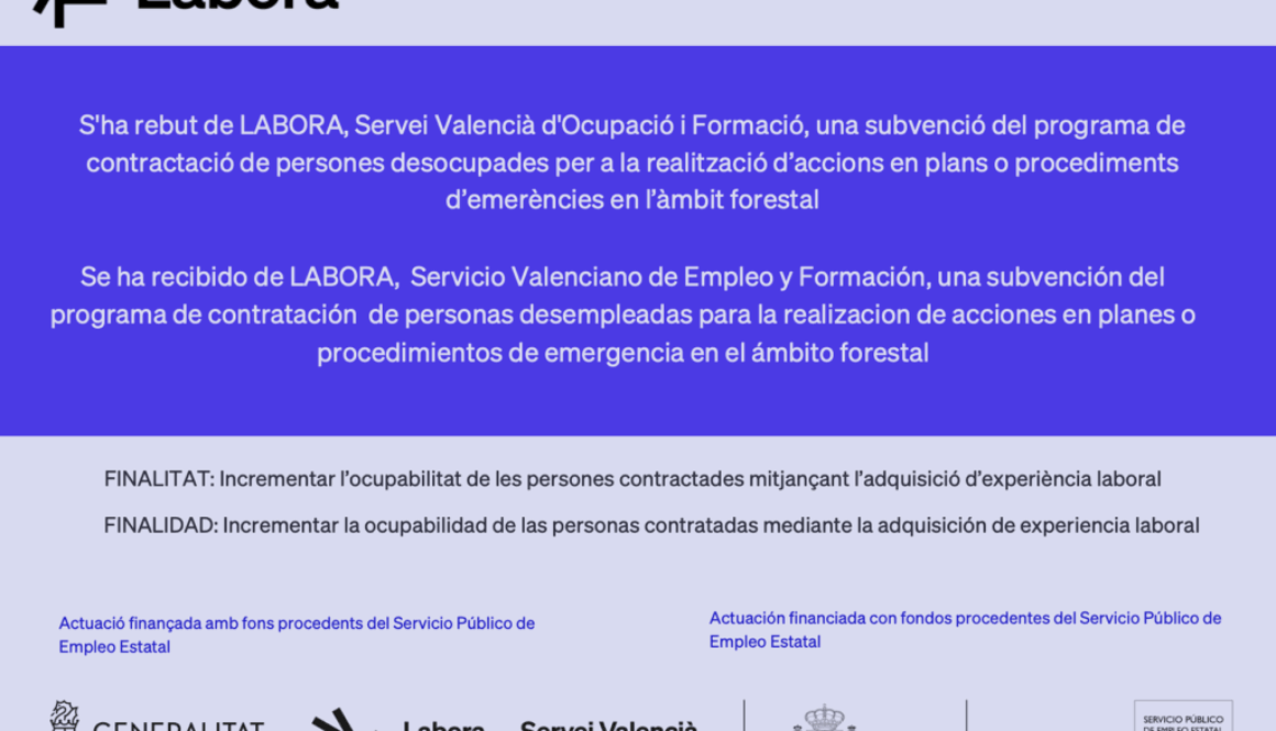 Captura de pantalla 2025-10-24 a las 9.46.48