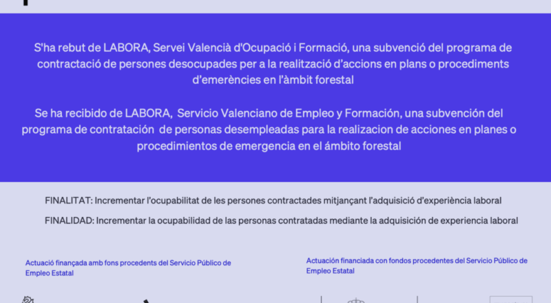 Captura de pantalla 2025-10-24 a las 9.46.48